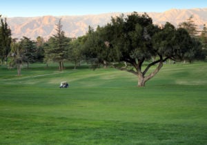 Redlands CC