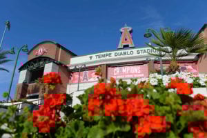 Angles Spring Training