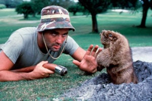 Caddyshack