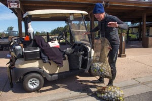 Golf Ball Diver