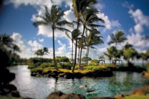 Grand Hyatt Kauai Saltwater Lagoon