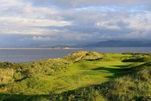 Irish Rover- Dooks #2