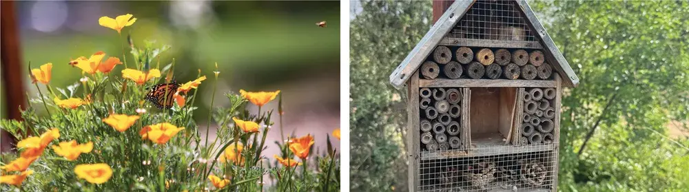 BUTTERFLY GARDEN INCLUDES A QR CODE TOUR, A 
